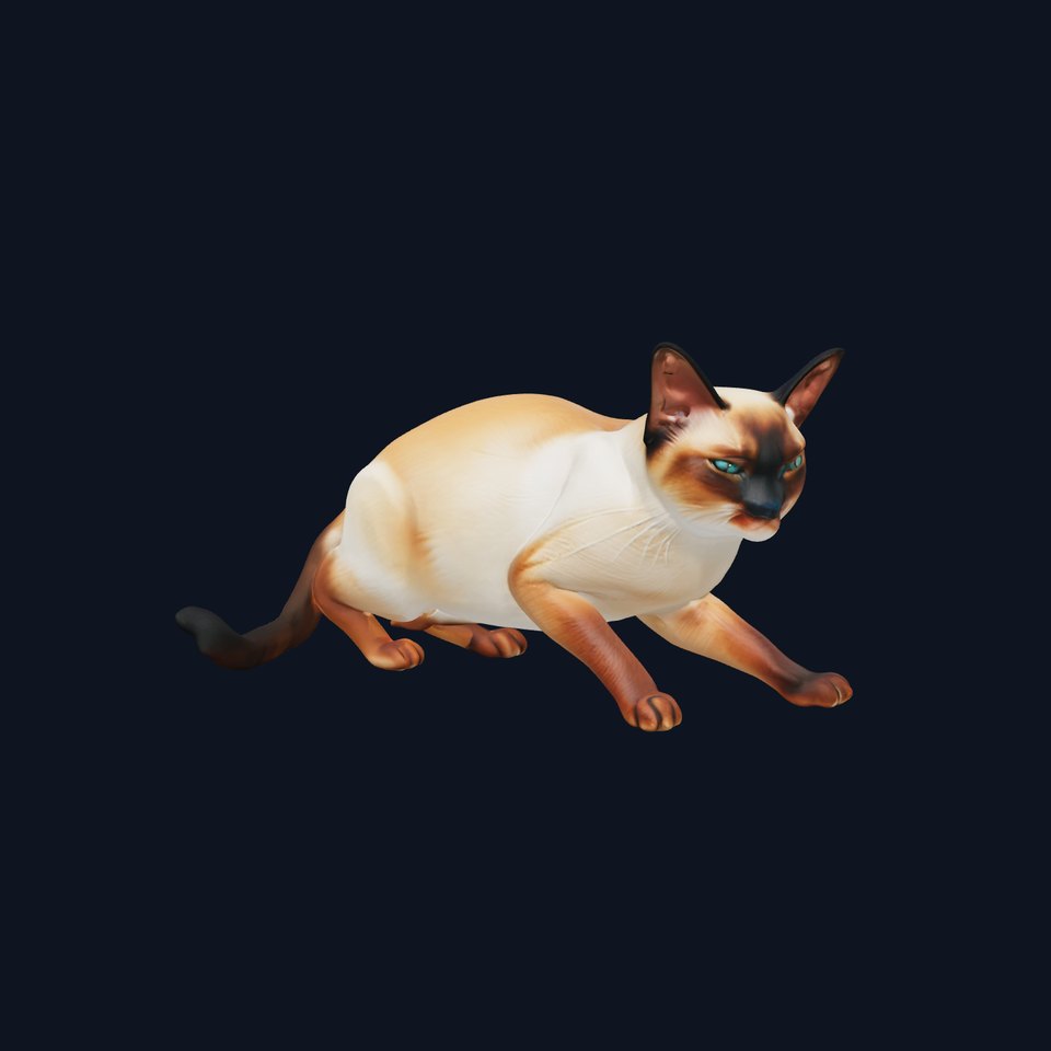 Siamese Cat Realistic 3D Model